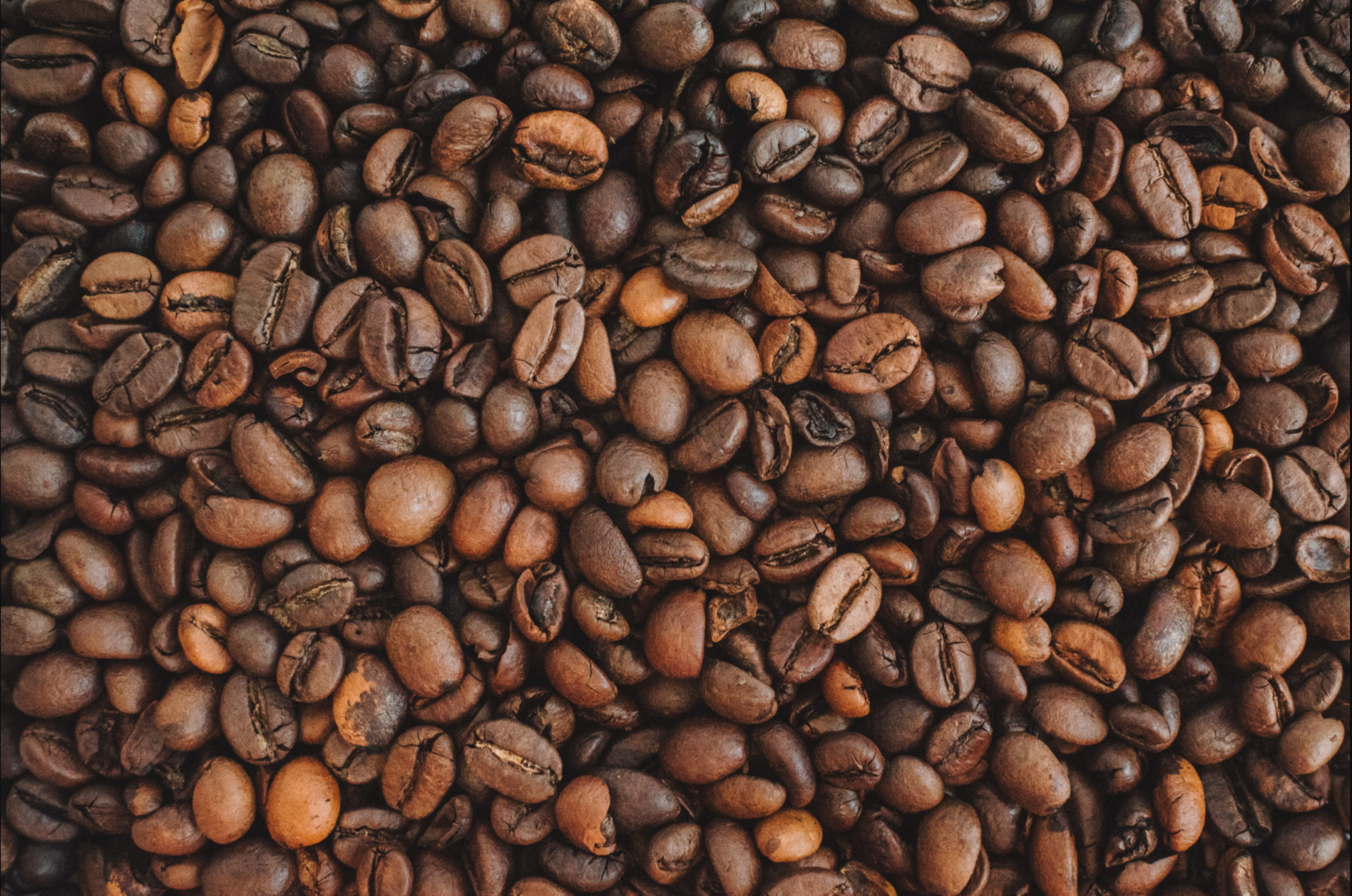 Fair Trade and Faith: Why They’re Connected
